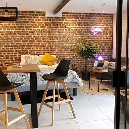 דירה Gary - Cosy, Et Jardin Privatif A 4 Min De Cambrai Awoingt